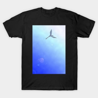 Dragon's sky T-Shirt